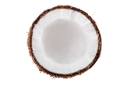 coconut fruit