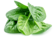 spinach